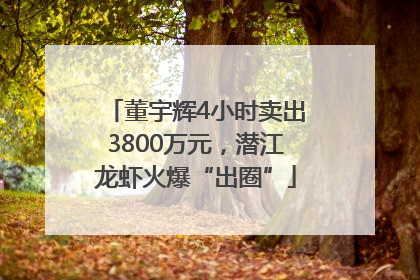 董宇辉4小时卖出3800万元，潜江龙虾火爆“出圈”