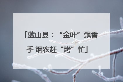 蓝山县：“金叶”飘香季 烟农赶“烤”忙