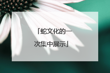 蛇文化的一次集中展示