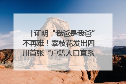 证明“我爸是我爸”不再难！攀枝花发出四川首张“户籍人口直系亲属关系谱”