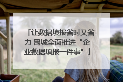 让数据填报省时又省力 禹城全面推进“企业数据填报一件事”