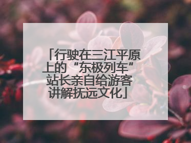 行驶在三江平原上的“东极列车” 站长亲自给游客讲解抚远文化