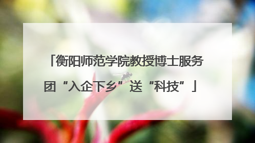 衡阳师范学院教授博士服务团“入企下乡”送“科技”