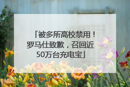 被多所高校禁用！罗马仕致歉，召回近50万台充电宝