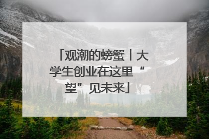 观潮的螃蟹丨大学生创业在这里“望”见未来
