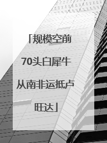 规模空前 70头白犀牛从南非运抵卢旺达