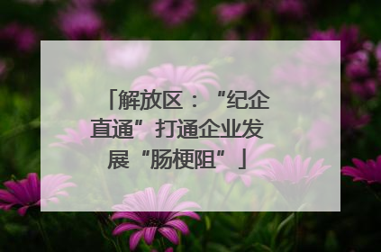 解放区：“纪企直通”打通企业发展“肠梗阻”