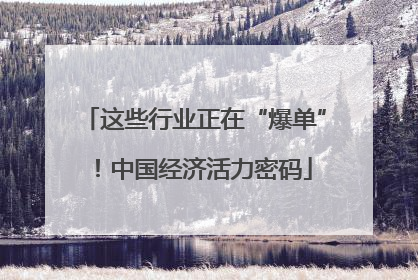 这些行业正在“爆单”！中国经济活力密码