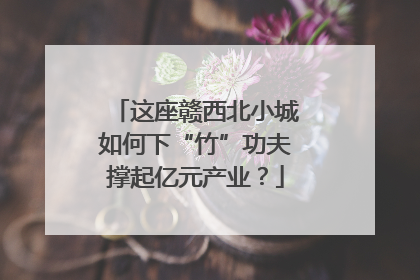 这座赣西北小城如何下“竹”功夫撑起亿元产业？
