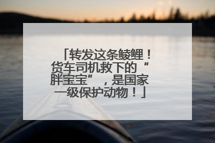 转发这条鲮鲤！货车司机救下的“胖宝宝”，是国家一级保护动物！