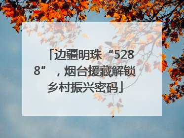 边疆明珠“5288”，烟台援藏解锁乡村振兴密码