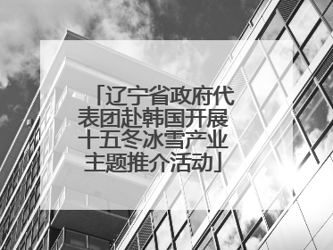 辽宁省政府代表团赴韩国开展十五冬冰雪产业主题推介活动