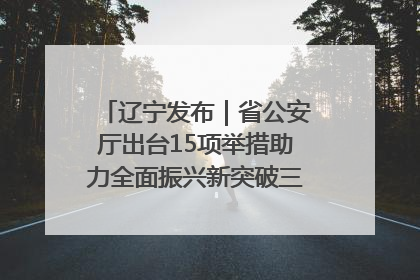 辽宁发布｜省公安厅出台15项举措助力全面振兴新突破三年行动决胜之战