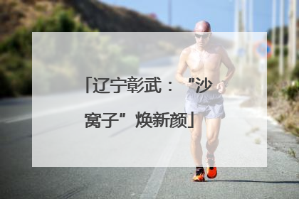 辽宁彰武：“沙窝子”焕新颜