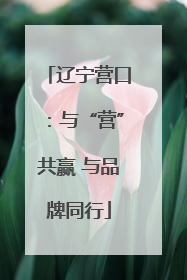 辽宁营口：与“营”共赢 与品牌同行