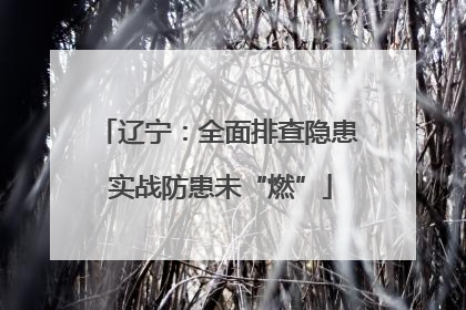 辽宁：全面排查隐患 实战防患未“燃”