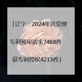 辽宁：2024年共受理专利预审请求7468件 获专利授权4213件