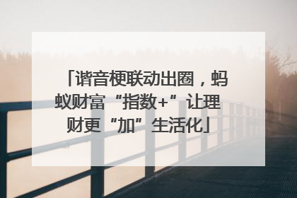 谐音梗联动出圈，蚂蚁财富“指数+”让理财更“加”生活化