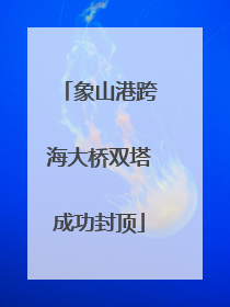 象山港跨海大桥双塔成功封顶