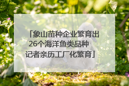 象山苗种企业繁育出26个海洋鱼类品种 记者亲历工厂化繁育
