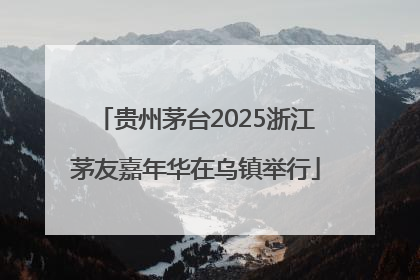 贵州茅台2025浙江茅友嘉年华在乌镇举行