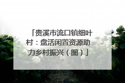 贵溪市流口镇细叶村：盘活闲置资源助力乡村振兴（图）