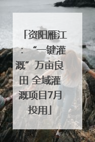 资阳雁江：“一键灌溉”万亩良田 全域灌溉项目7月投用