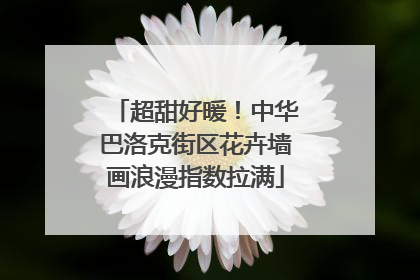 超甜好暖！中华巴洛克街区花卉墙画浪漫指数拉满