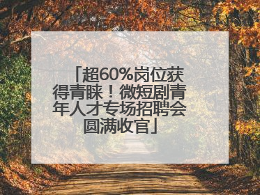 超60%岗位获得青睐！微短剧青年人才专场招聘会圆满收官