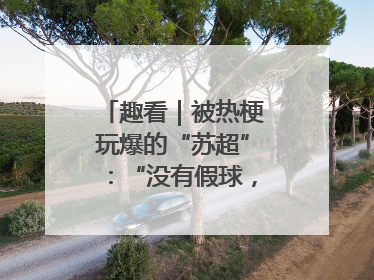 趣看｜被热梗玩爆的“苏超”：“没有假球，全是世仇”