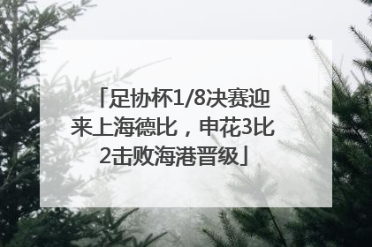 足协杯1/8决赛迎来上海德比，申花3比2击败海港晋级