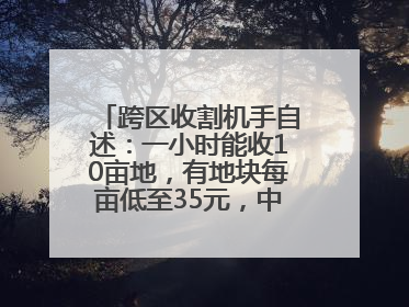 跨区收割机手自述：一小时能收10亩地，有地块每亩低至35元，中午基本不吃饭