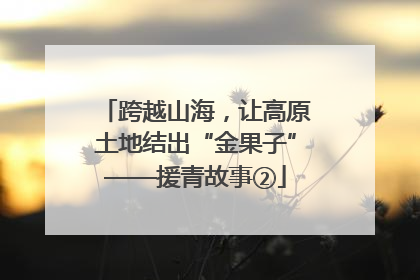 跨越山海，让高原土地结出“金果子”——援青故事②