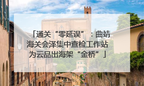 通关“零延误”：曲靖海关会泽集中查检工作站为云品出海架“金桥”