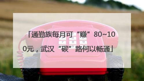 通勤族每月可“赚”80~100元，武汉“碳”路何以畅通