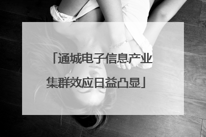 通城电子信息产业集群效应日益凸显