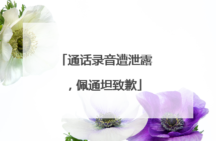 通话录音遭泄露，佩通坦致歉
