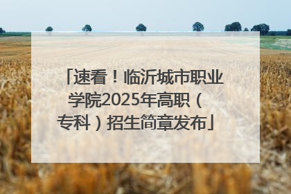 速看！临沂城市职业学院2025年高职（专科）招生简章发布