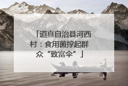 道真自治县河西村：食用菌撑起群众“致富伞”
