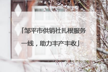 邹平市供销社扎根服务一线，助力丰产丰收