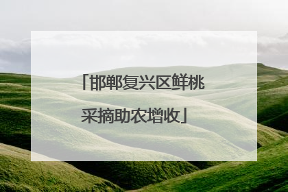 邯郸复兴区鲜桃采摘助农增收