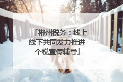郴州税务：线上线下共同发力推进个税宣传辅导
