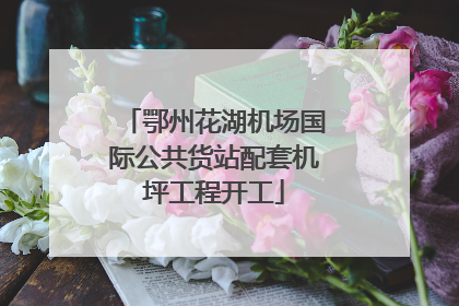 鄂州花湖机场国际公共货站配套机坪工程开工