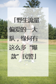 野生流量偏爱的一大队，缘何有这么多“爆款”民警