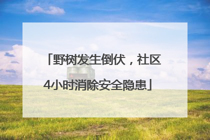 野树发生倒伏，社区4小时消除安全隐患