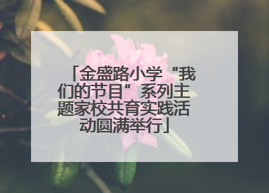 金盛路小学“我们的节目”系列主题家校共育实践活动圆满举行