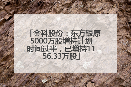 金科股份：东方银原5000万股增持计划时间过半，已增持1156.33万股