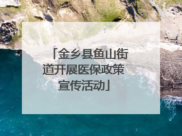 金乡县鱼山街道开展医保政策宣传活动
