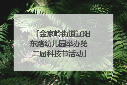 金家岭街道辽阳东路幼儿园举办第二届科技节活动