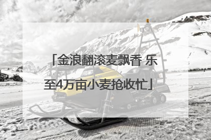 金浪翻滚麦飘香 乐至4万亩小麦抢收忙